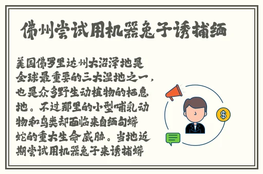 永久免费看打扑克的软件app